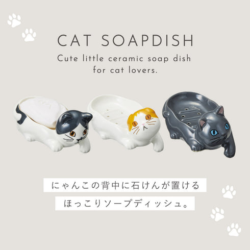 ソープディッシュ(猫).|s2